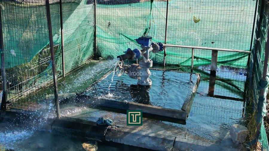 PUT GEOTERMAL NATURAL PE UN TEREN DE 36.476 MP IN SOCODOR, ARAD - 5