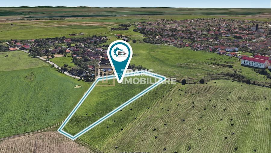 Teren de 11500 mp pentru Complex Rezidențial în Sânnicolau Mic - 3