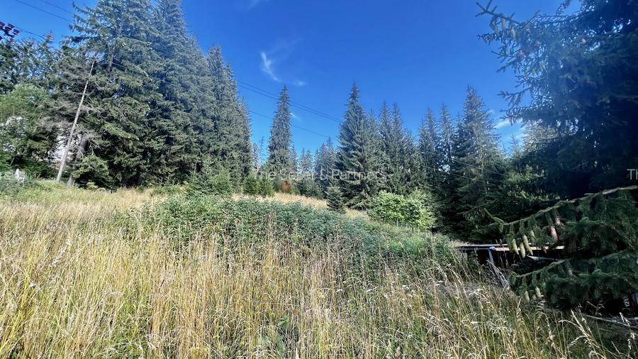 Teren Intravilan Predeal - Acces direct DN - Priveliste deosebita - 28