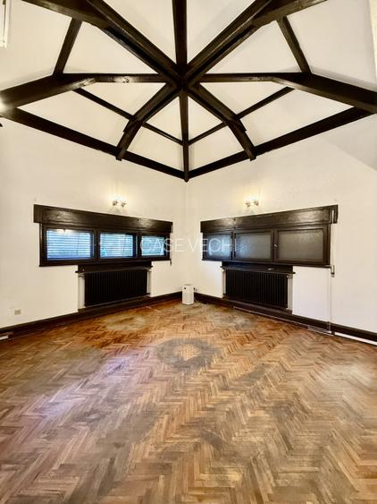 Vila mediteraneana la Gradina Icoanei - 20