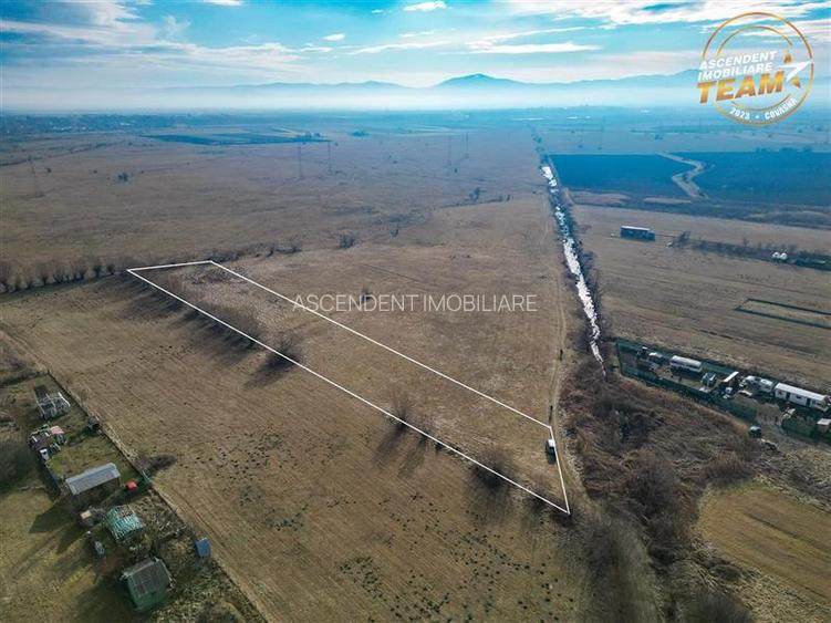 Teren extravilan de 5.800 mp in Sfantu Gheorghe:oportunitate Investie/Exploatare - 3