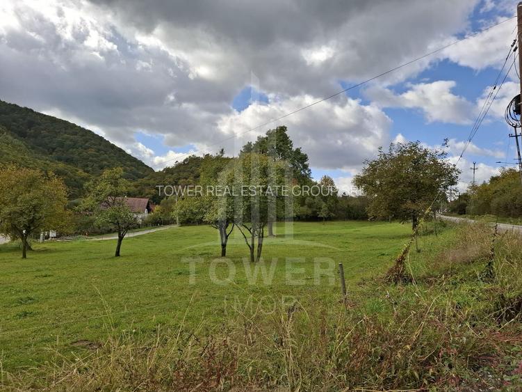 Teren intravilan cu Puz si priveliște deosebită, spre Cetatea Cisnădioara - 4