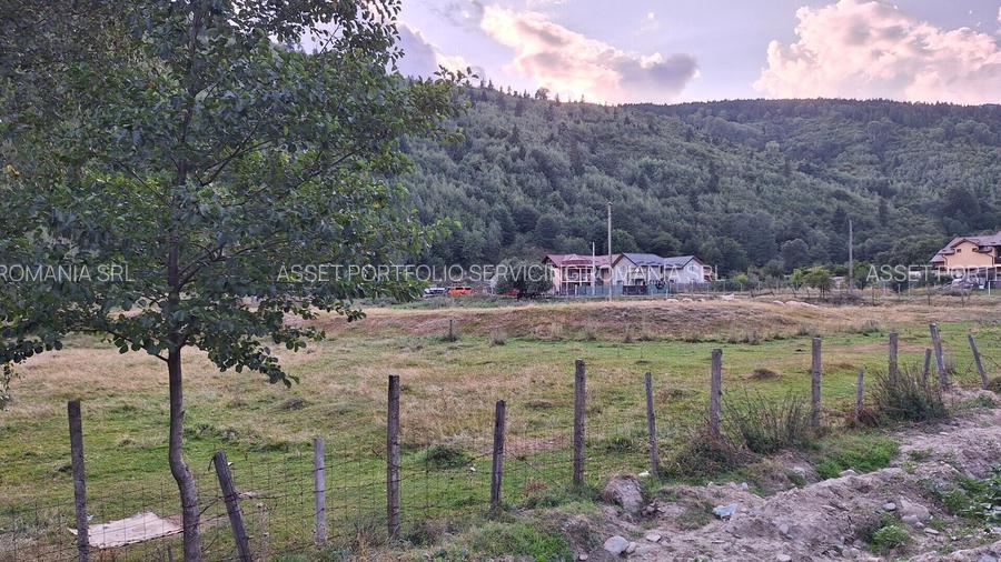 Teren 11547 mp Leresti - Pojorata judetul Arges - 3