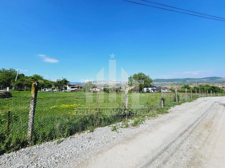 Teren intravilan | De vanzare | 3000 mp | 85 ml deschidere | Micesti - 2