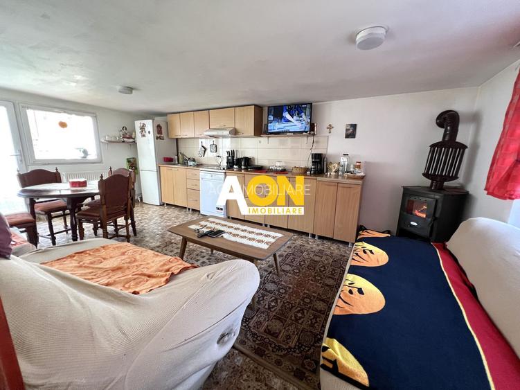 Casa de vanzare pretabila 2 familii, garaj, livada, comuna Pianu - 24