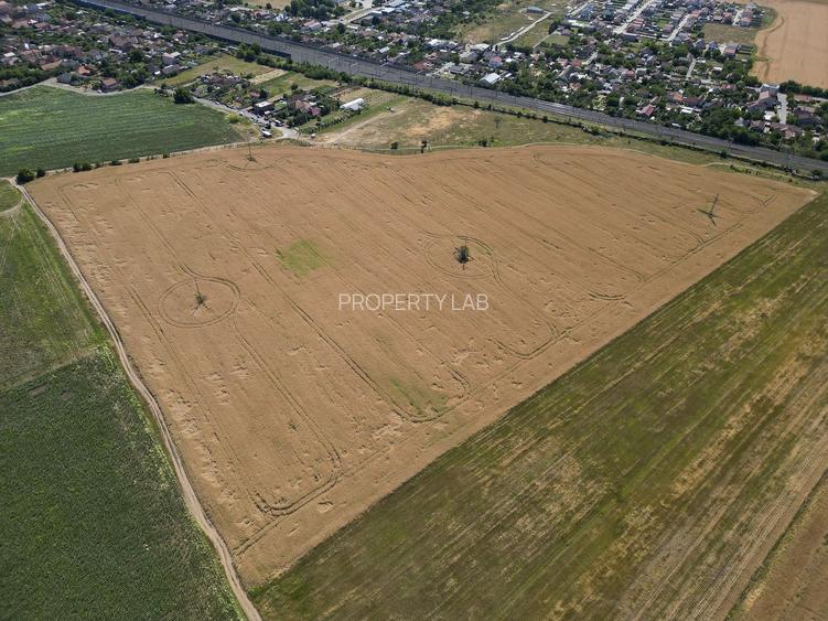 Tern intrevilan 4003 mp - 11