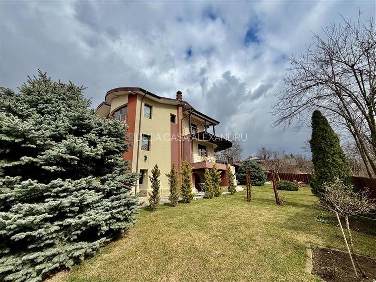 Casa vile de vânzare Buciuim-iasi - 4