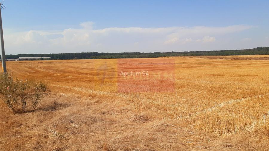 Teren pentru casă/case în Brănești pe strada Toporași - 22