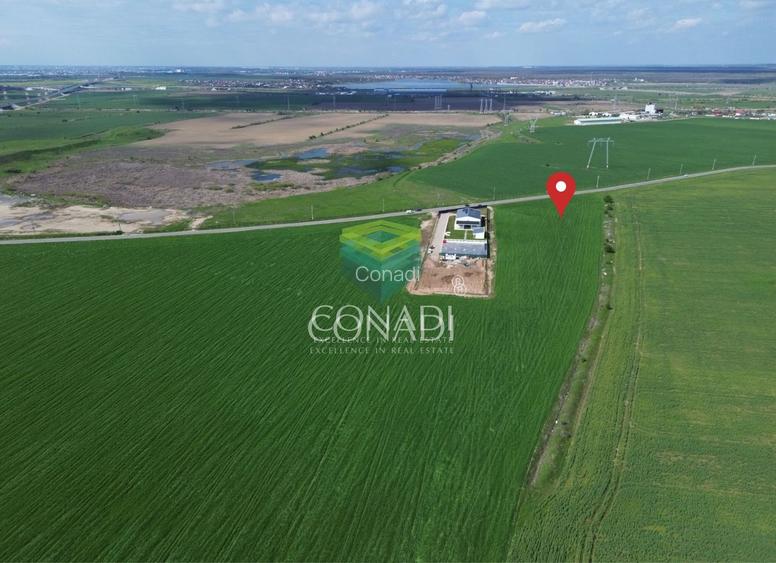 Teren Intravilan Constructii - Industrial Cernica | Balaceanca - 2