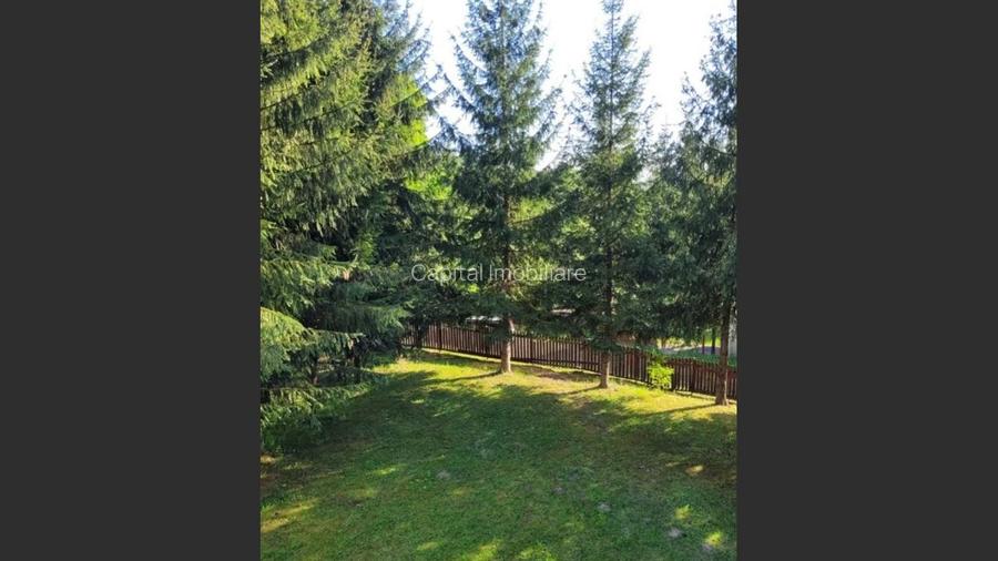 Proprietate Unică în Inima Naturii – Galaoaia, Mureș  - 4