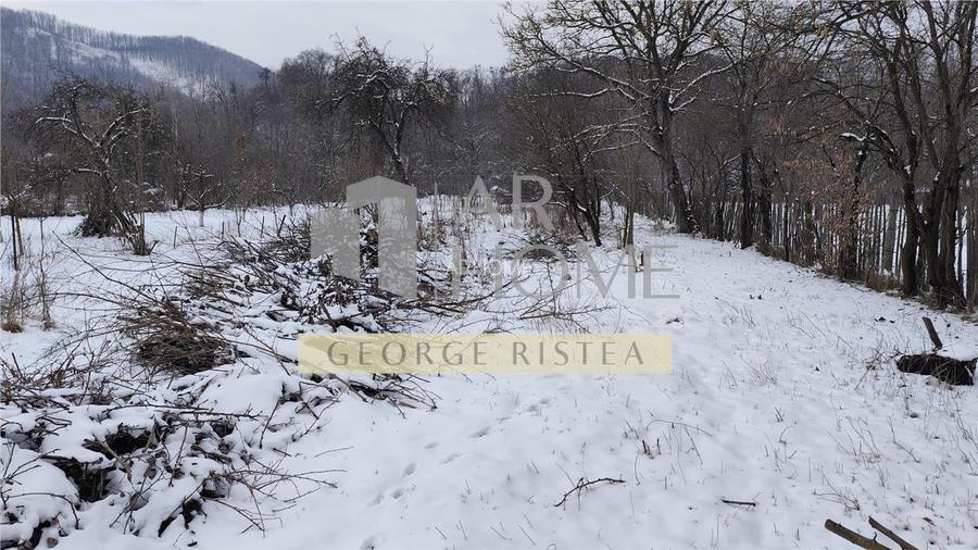 Teren 3310 mp + Casa Batraneasca Bobolia - 9