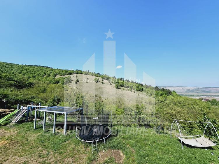 Casa individuala | 300 mp | 1000 mp teren | Mobilata | Micesti - 17