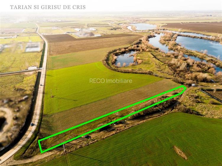 RECO Teren extravilan 2500mp in Palota - 3