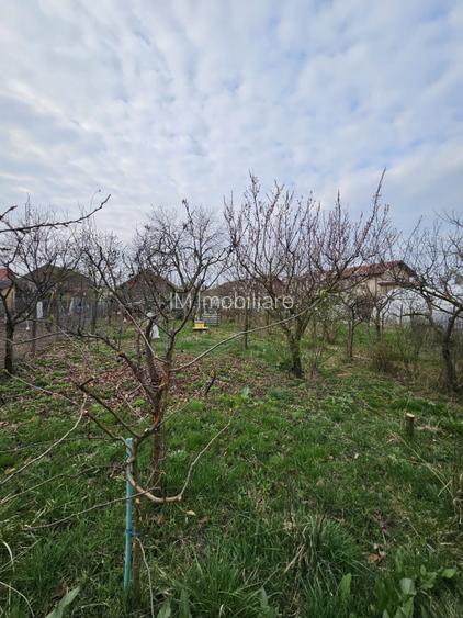 Giarmata Mare - Casa 4 Camere - Teren Generos - 6