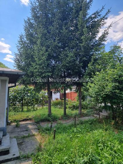 Casa 5 camere+ anexe cu teren 686mp - 25