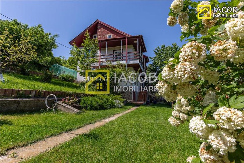 Casa P+1, Magura, str. Coton, Bacau - 27