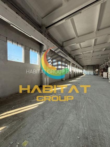 Hală industrială cu poduri rulante și putere 1,8 MW – 2400 mp | Popești-Leordeni - 10