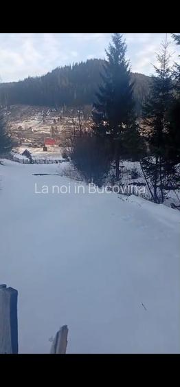 Vindem teren 8179 mp langa padure - 4