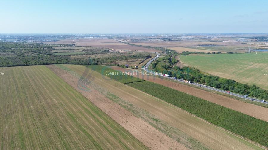 Teren intravilan de vanzare, 66400 mp, langa Oradea, Bihor  - 11