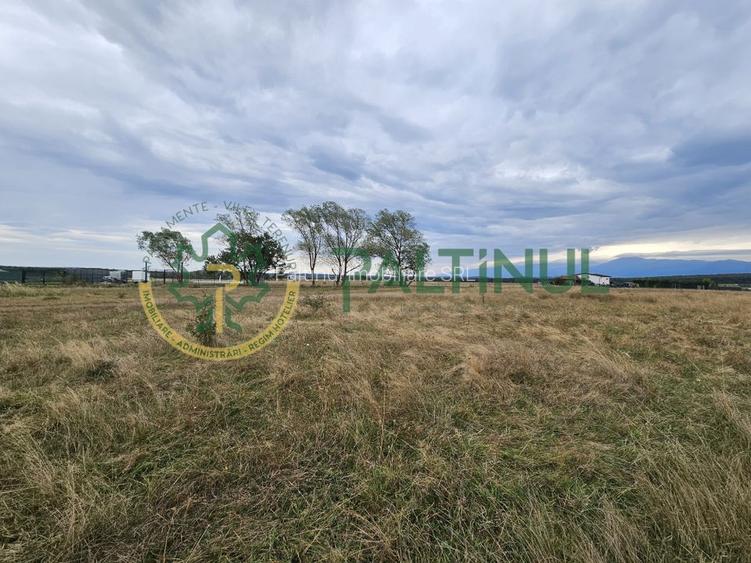 Parcele de vânzare pe Calea Cisnadiei, Sibiu - priveliste spre munti - 11