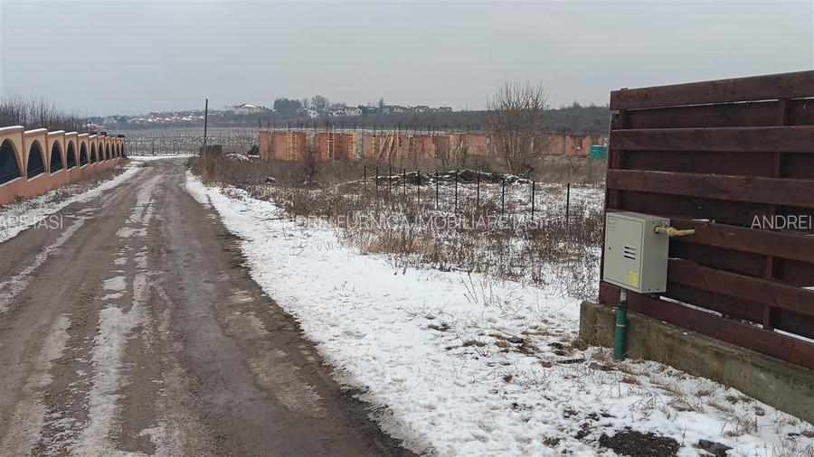 Visan str Dealul Craitelor TEREN 6383mp  si 4217mp utilitati  si transport in co - 8