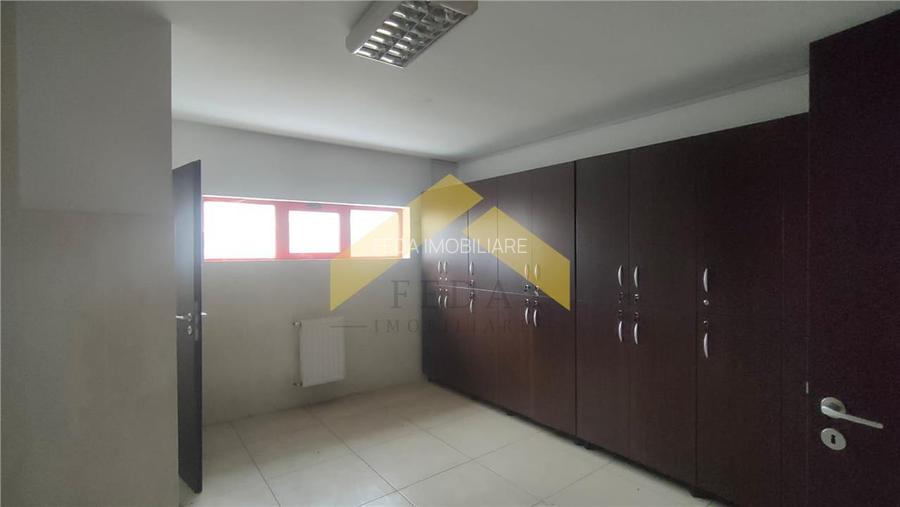 Showroom + hala | 5,100 mp teren Aradul Nou - 7