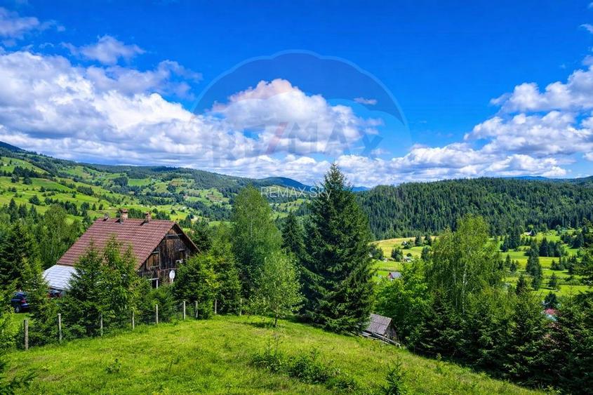Oază de liniște în inima Apusenilor – teren 6.500 mp Arieșeni - 5
