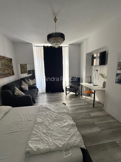 Apartament ultracentral pet friendly Timișoara - 5