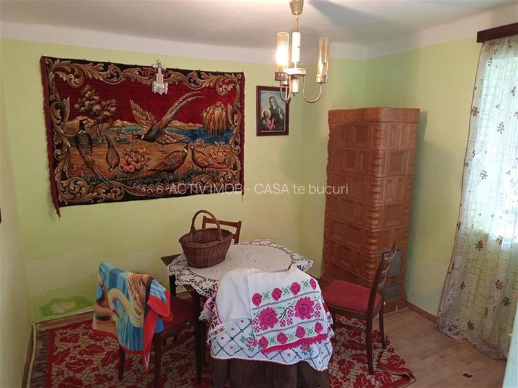 Ciclova, Casa 10 Incaperi, pt 2 Familii, 1439mp Teren - 31