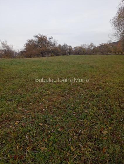 Vând teren intravilan în Bistrița Bârgăului  - 3