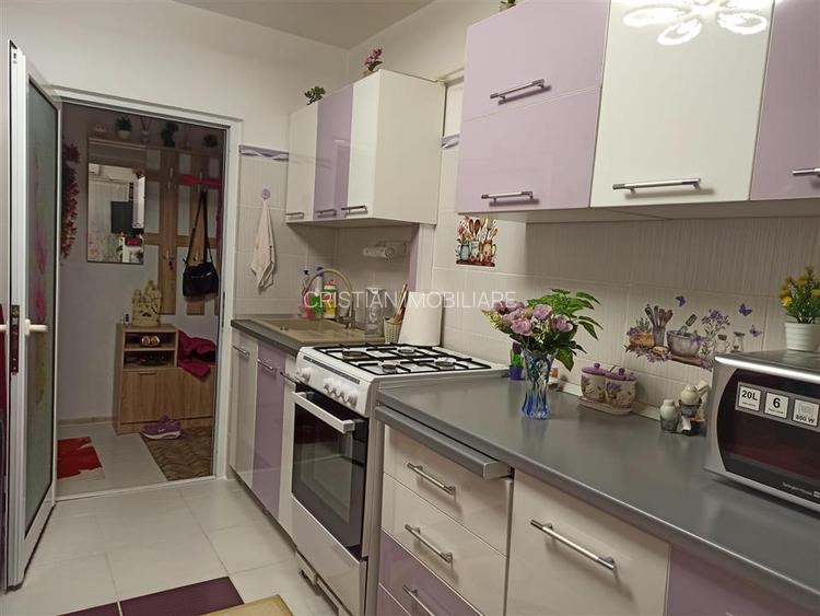 Apartament 1 camera, Vidin, parter cu balcon, Mobilat si utilat - 4