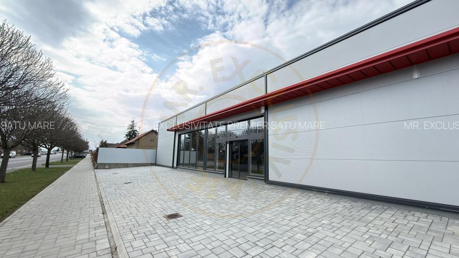 Spațiu Comercial Open Space 296 mp / B-dul 25 Octombrie / Carei - 5