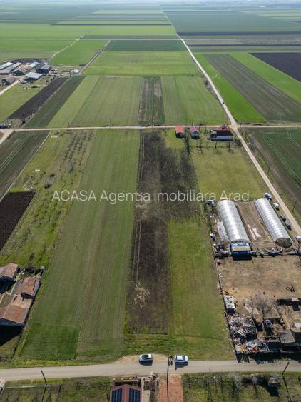 Teren 3.600 mp în Curtici, 2 fronturi stradale – La doar 20 km de Arad - 8