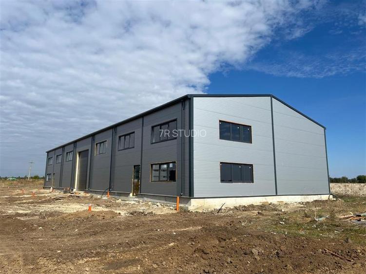 Vanzare Hala Noua Dascalu, plus teren - 8