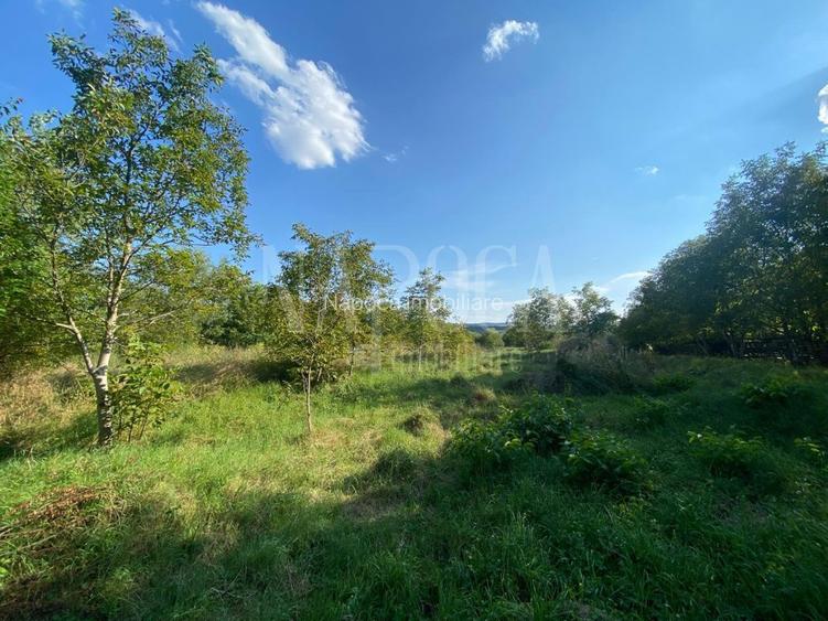 Teren intravilan pentru constructii de vanzare in Borhanci, Cluj Napoca - 2