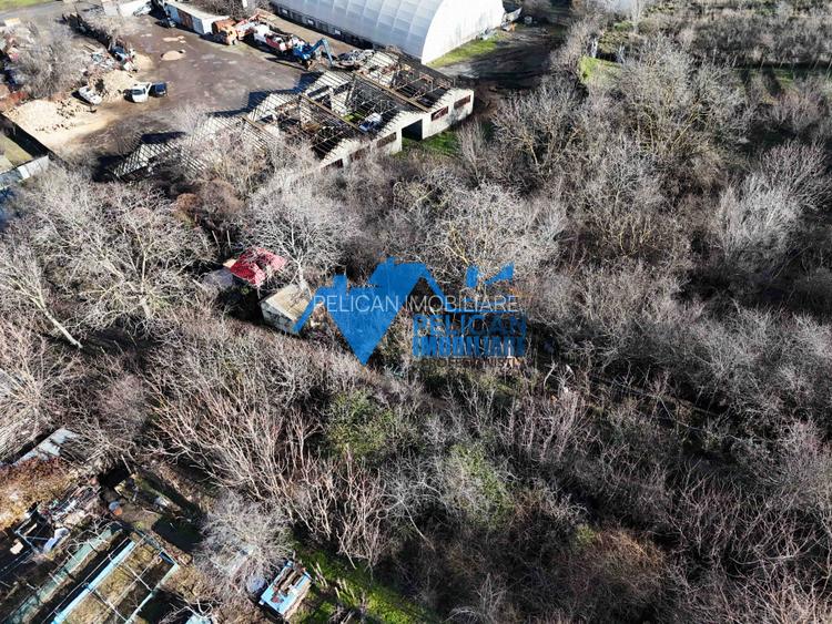 Teren intravilan BIDIDIA, zona deosebita, 550MP - 3