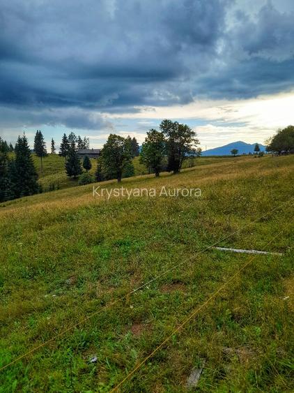 Teren intravilan 25 de arii, Piatra -Fantanele,1200€ pe arie - 5