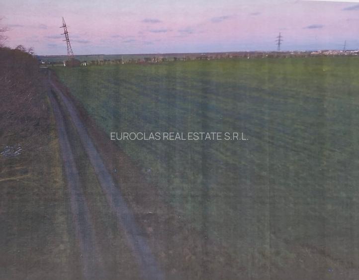 Teren intravilan 15.000 mp - Costinesti - 15 euro/mp (Cod E13) - 4