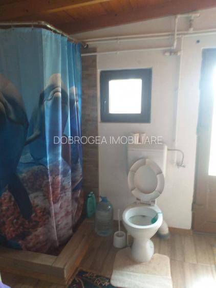 HORIA - 3 CAMERE ,SUPRAFATA 100 MP,TEREN 3000 MP CU DESCHIDERE LA LAC - 10