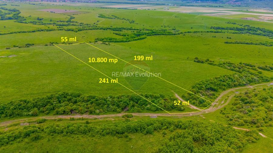 Teren 10,800mp Rasnov / Drumul DN73 - 3