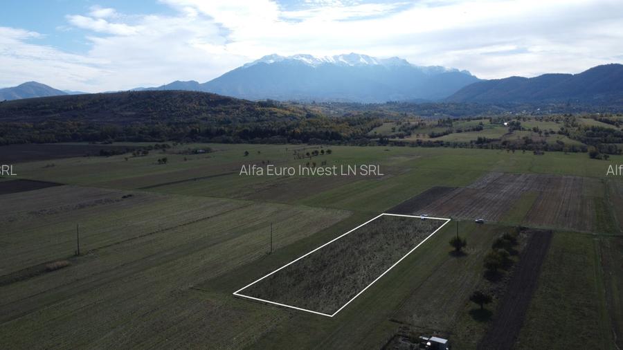 TEREN INTRAVILAN ZONA PENNY - 10