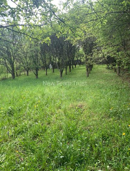 Statiunea  Breaza  Vanzare Vila(Pensiune)+10 camere - 5