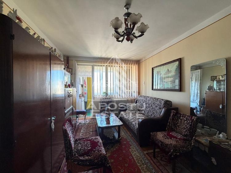 Apartament cu 2 camere, de vanzare, zona Iosefin, Timisoara - 2