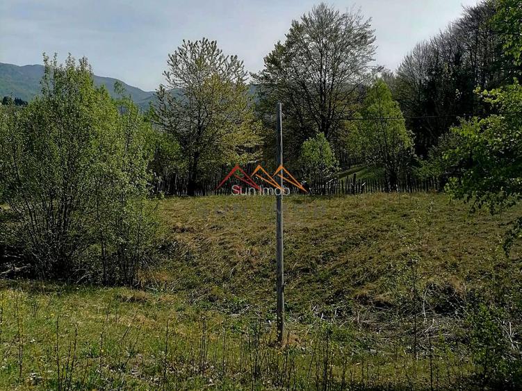 Teren Extravilan 23.000 mp | Valea Doftanei-Secăria | 11 €/mp - 3