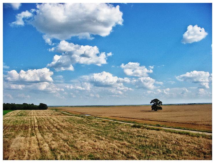 Intravilan în satul Popești. Zona Frumusani. Curent. Padure. Aer curat, liniste. - 9