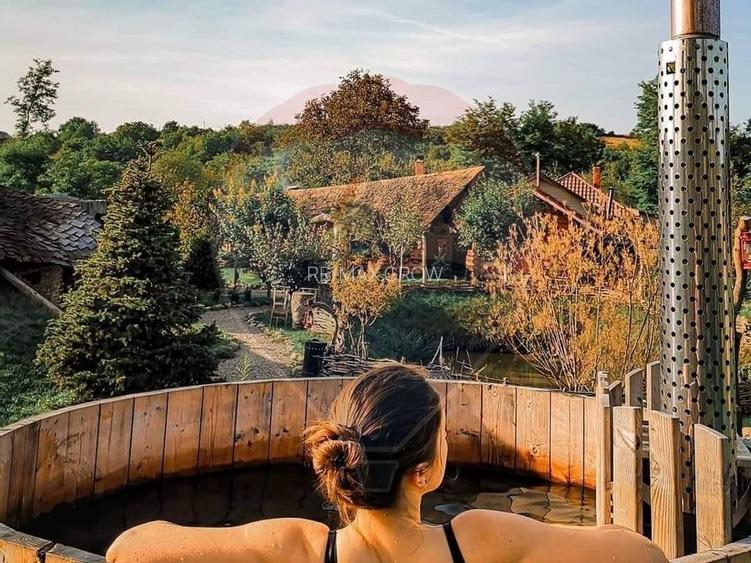 Hotel / Pensiune de vanzare Piatra Neamt - 5