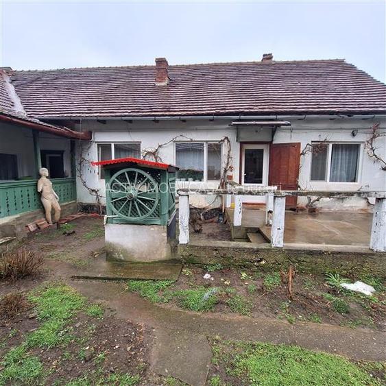 Bocsa Montana, Casa mare la strada principala - 22