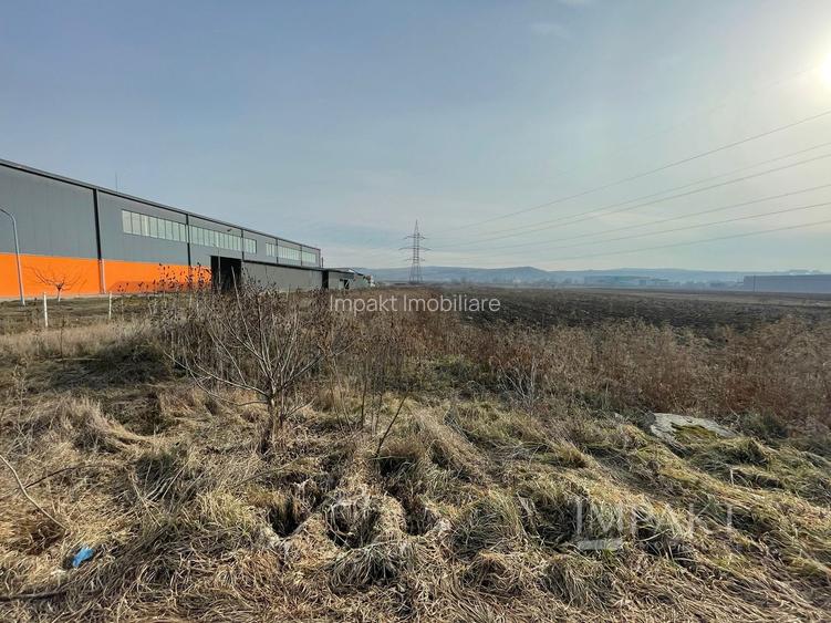 Teren Industrial 5800 mp cu PUD pentru 4 Hale – Centura Apahida - 8