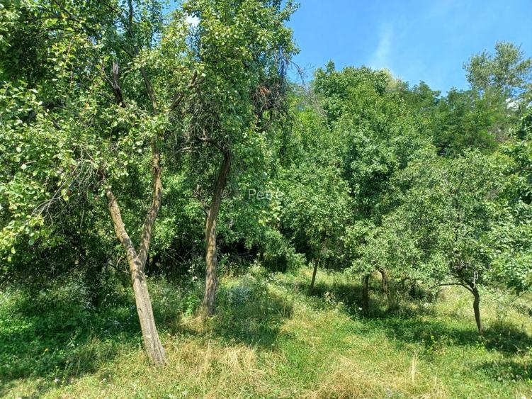 24.141 mp 1h30' de Bucuresti -  ideal casa sau complex retreat - 5