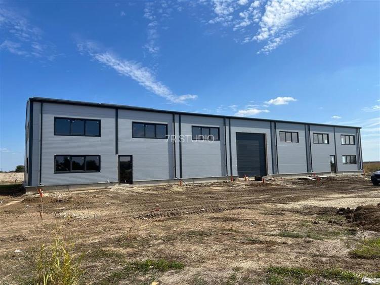 Vanzare Hala Noua Dascalu, plus teren - 4